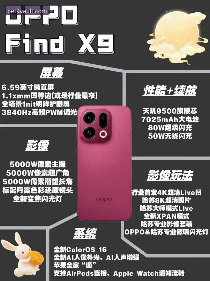 bet9官方平台功能详解与使用指南